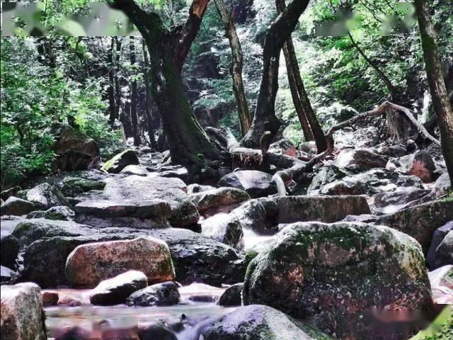 吕梁：“口袋公园”兜住家门口的“小确幸”